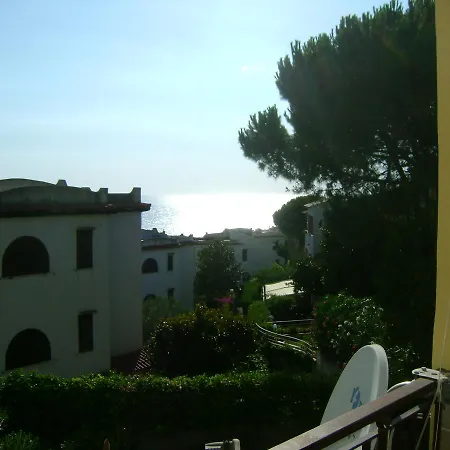 On The Beach In A Pine Park * Scalea