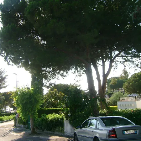 On The Beach In A Pine Park Apartment Scalea