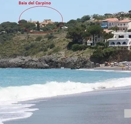 On The Beach In A Pine Park * Scalea